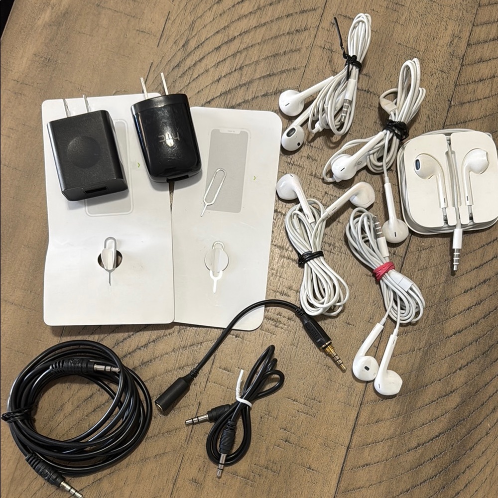 Black Charger Blocks and Apple Earphones Set